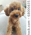 一人盯著 68000835
