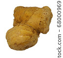 Ginger ginger ginger ginger 68000969