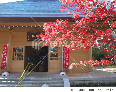 Autumn leaves of Enma-do Temple Autumn leaves of Enma-do Temple 68002617