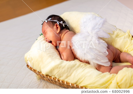 Newborn Photo 68002996