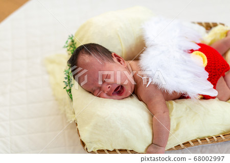 Newborn Photo 68002997