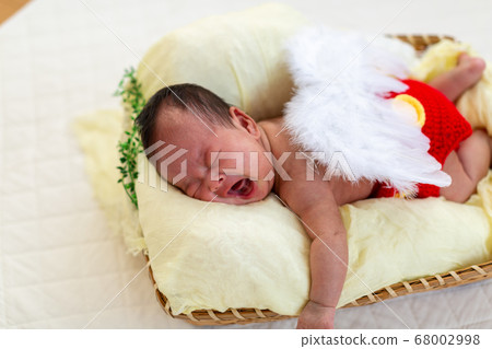 Newborn Photo 68002998