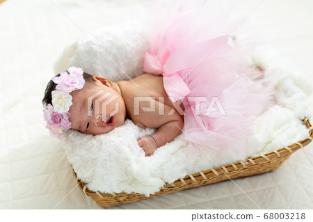 Newborn Photo 68003218