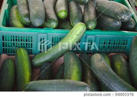 fresh cucumbers vegetable organic market 68003376