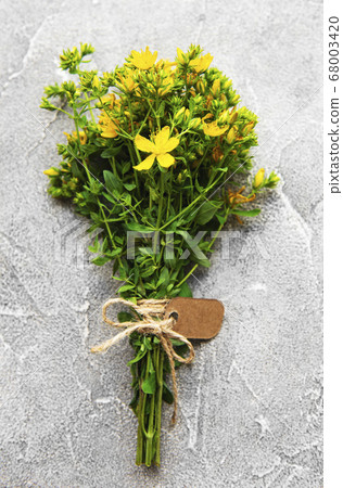 Bunch of St. John's wort on a table Bunch of St. John's wort on a table 68003420