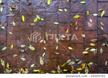 stamped concrete pavement, slate stone tile on cement stones pattern stamped concrete pavement, slate stone tile on cement stones pattern 68004392
