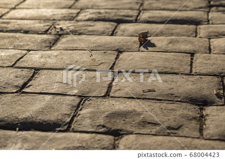 Stamped concrete pavement outdoor, cobblestones pattern, flooring exterior, decorative appearance of paving cobble stone Stamped concrete pavement outdoor, cobblestones pattern, flooring exterior, decorative appearance of paving cobble stone 68004423