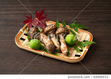 Matsutake mushrooms in a basket Matsutake mushrooms in a basket 68006815