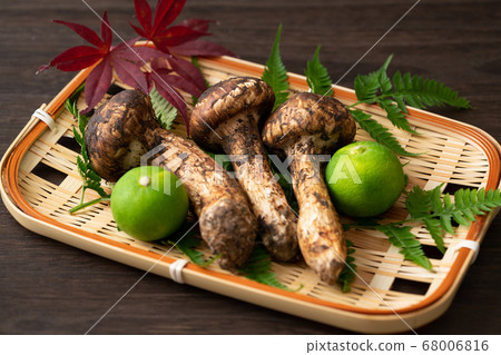 Matsutake mushrooms in a basket Matsutake mushrooms in a basket 68006816