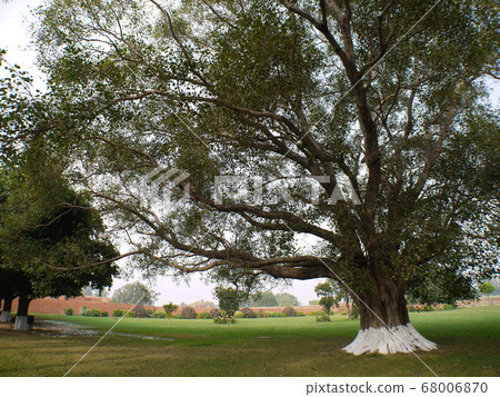 印度·努蘭德佛教大學遺址 印度·努蘭德佛教大學遺址 68006870