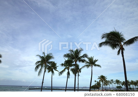 Waikiki Beach Waikiki Beach 68008150