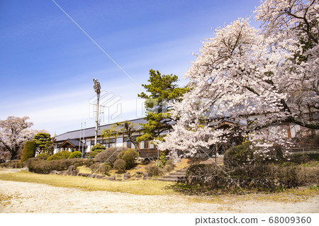 [山梨縣北斗市]山梨縣指定文化財產，Tsu根學校，大正學校大樓盛開 68009360