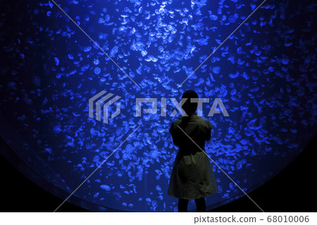 Scenery of the aquarium Female silhouette looking at a jellyfish tank Tsuruoka City, Yamagata Prefecture Scenery of the aquarium Female silhouette looking at a jellyfish tank Tsuruoka City, Yamagata Prefecture 68010006