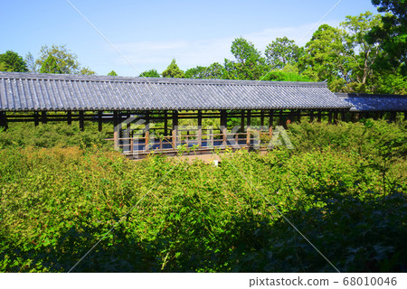 日本京都府京都市東山區東福寺 日本京都府京都市東山區東福寺 68010046