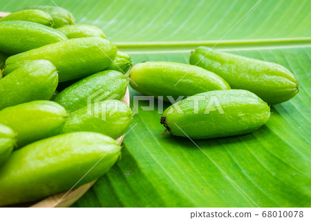 Averrhoa bilimbi fruit 68010078