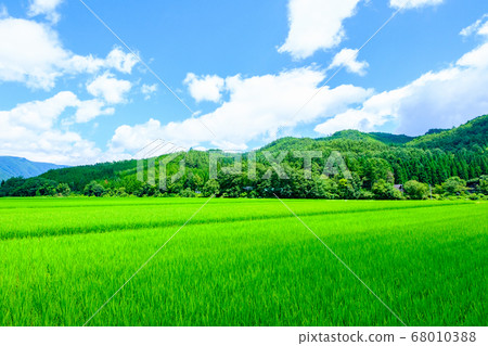 夏季農村風光 68010388