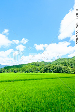 Summer countryside scenery 68010396