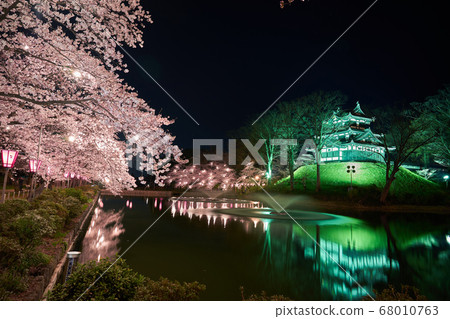 高田公園上越櫻 高田公園上越櫻 68010763