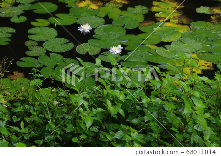 A promenade 68011014