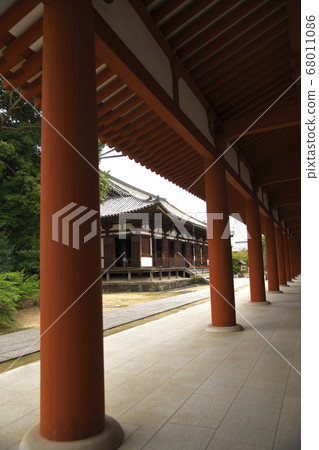 從東走廊俯瞰通人堂的藥師寺 從東走廊俯瞰通人堂的藥師寺 68011086