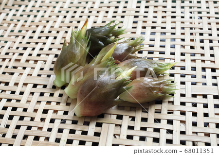 肌肉收穫 68011351