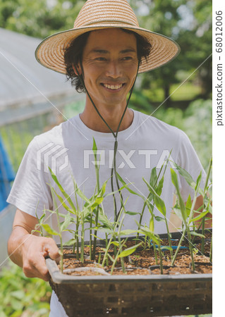 Myoga苗農 68012006