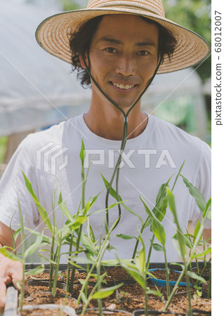 Myoga苗農 68012007