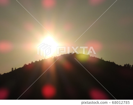 Miwayama Asahi 68012785