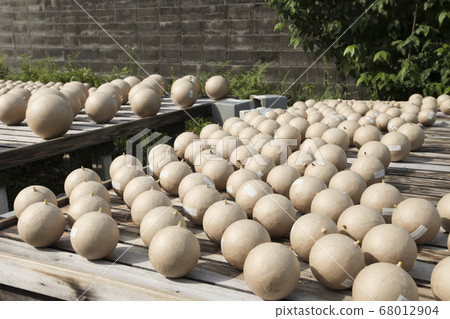 Fireworks fireworks ball during sun drying Fireworks fireworks ball during sun drying 68012904