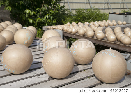 煙花煙花球 煙花煙花球 68012907