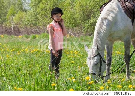 Little girl in pink stands near a white horse 68012983