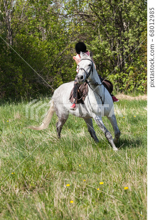 Little girl rides a white horse, vertical photo 68012985