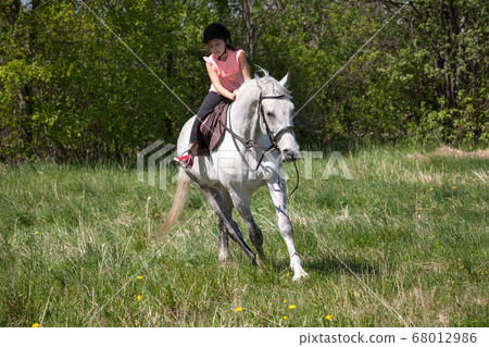 Little girl in pink rides a white horse breed Little girl in pink rides a white horse breed 68012986
