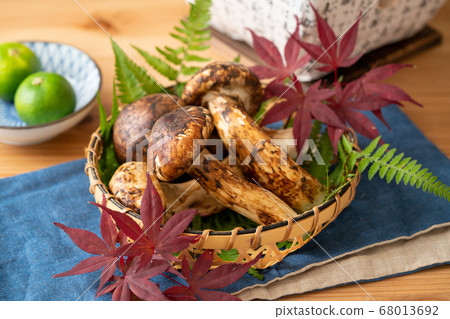 Matsutake mushrooms in a basket Matsutake mushrooms in a basket 68013692
