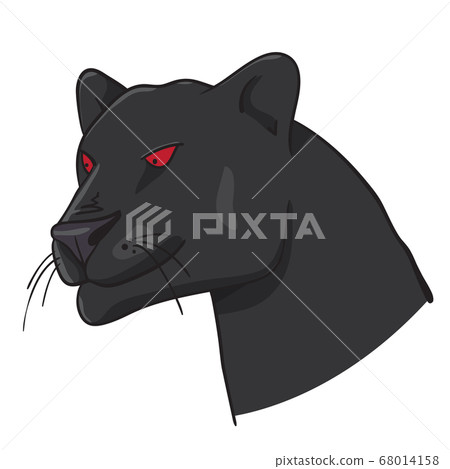 Panther Head Illustration isolated on white Panther Head Illustration isolated on white 68014158