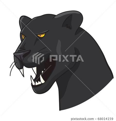 Panther Head Illustration isolated on white Panther Head Illustration isolated on white 68014159
