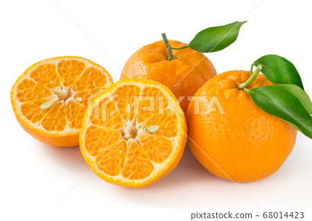 Kishu Ripe Ponkan 68014423