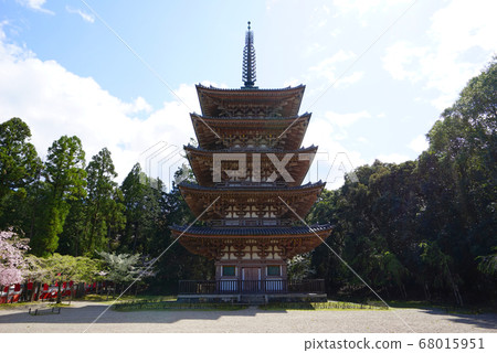 日本京都府京都市伏見區大高寺的五層寶塔 68015951