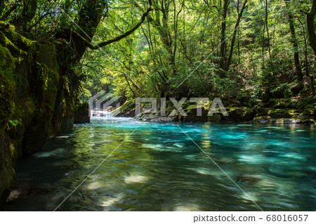 Scenery of a waterfall that falls in the Kikuchi valley, a clear stream in early summer 68016057