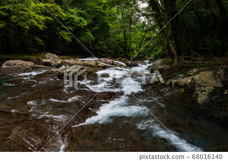 Scenery of a waterfall that falls in the Kikuchi valley, a clear stream in early summer Scenery of a waterfall that falls in the Kikuchi valley, a clear stream in early summer 68016140