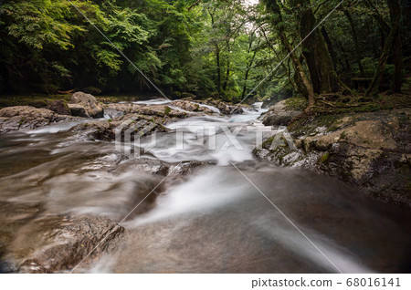 Scenery of a waterfall that falls in the Kikuchi valley, a clear stream in early summer Scenery of a waterfall that falls in the Kikuchi valley, a clear stream in early summer 68016141