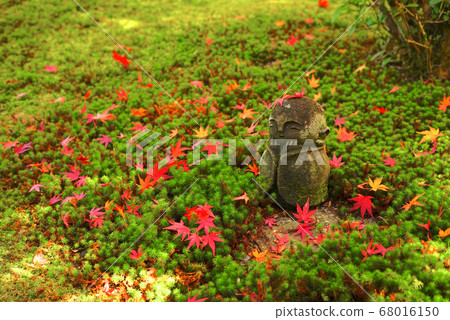 Enkoji Temple, Sakyo Ward, Kyoto City, Kyoto Prefecture, Japan 68016150