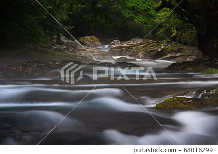 Scenery of clear stream flowing in Kikuchi valley in early summer Scenery of clear stream flowing in Kikuchi valley in early summer 68016299