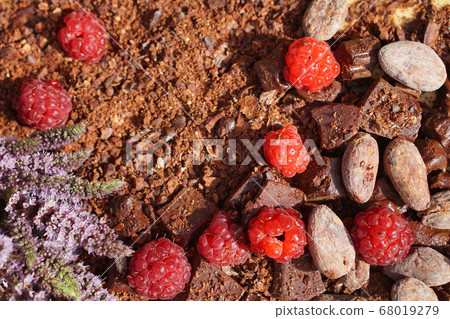 Flat lay of Raw cocoa beans, cocoa powder, Flat lay of Raw cocoa beans, cocoa powder, 68019279