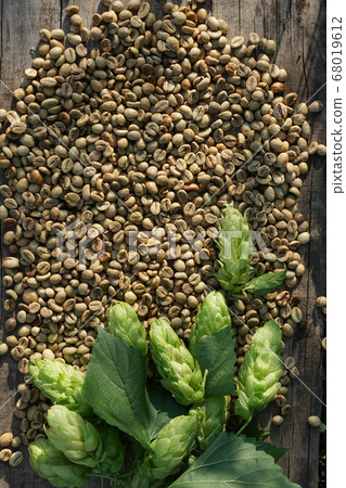 Hop twigs and green coffee beans over wooden Hop twigs and green coffee beans over wooden 68019612