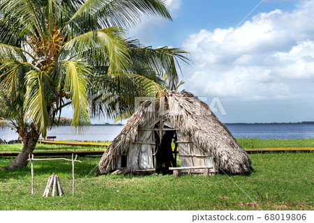 Thatched hut under a palm tree on the river bank Thatched hut under a palm tree on the river bank 68019806