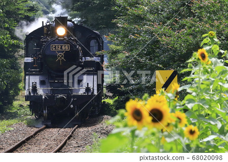 Summer Moka Railway SL 68020098