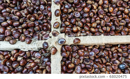 Fresh ripe chesnuts on the sack napkin for Christmas and autumn season 68020475