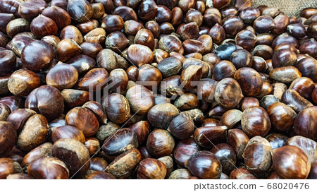 Fresh ripe chesnuts on the sack napkin for Christmas and autumn season Fresh ripe chesnuts on the sack napkin for Christmas and autumn season 68020476