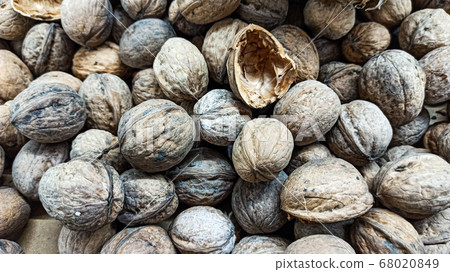 Natural Walnuts with shell background pattern texture. Background of fresh walnuts in shell 68020849